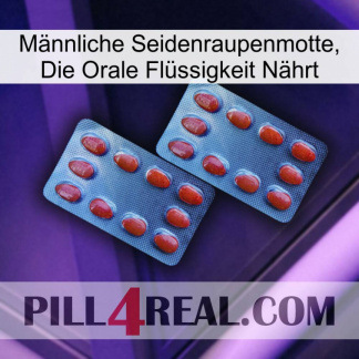 Männliche Seidenraupenmotte, Die Orale Flüssigkeit Nährt 05
